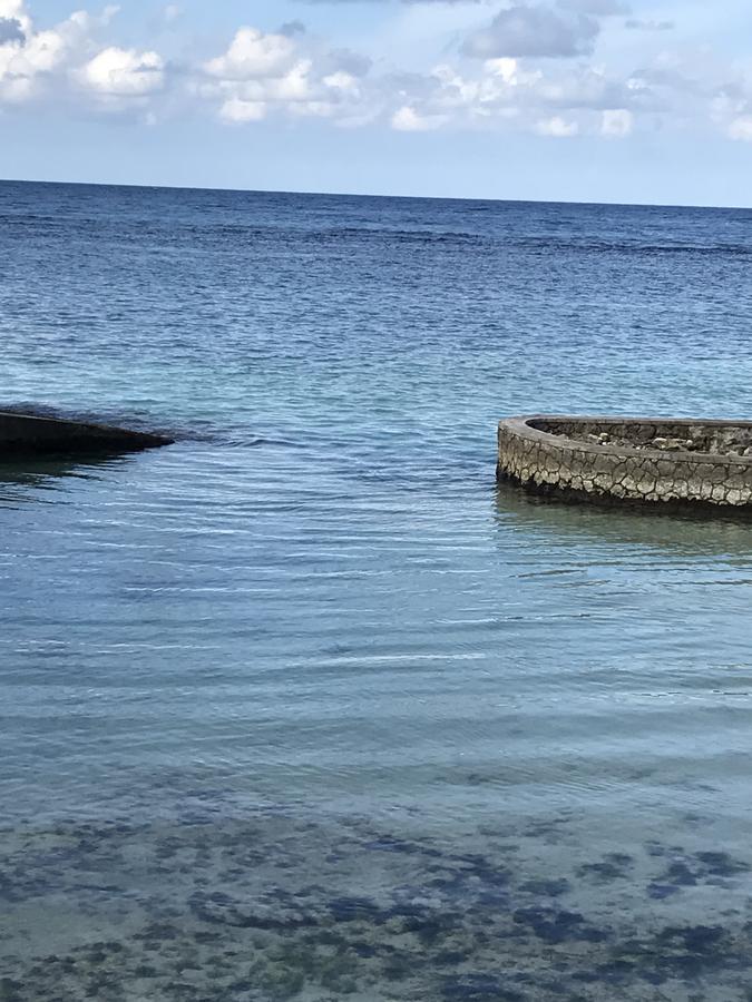 Alexanders Penthouse On The Beach Ocho Rios Exterior foto
